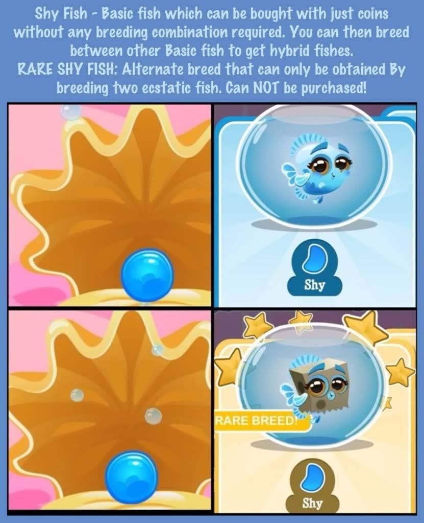 Fish with Attitude Community • BREEDING GUIDE with egg pics and rare ...