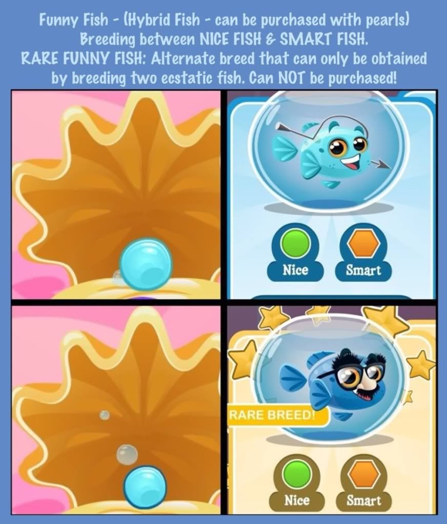 Fish with Attitude Community • BREEDING GUIDE with egg pics and rare ...