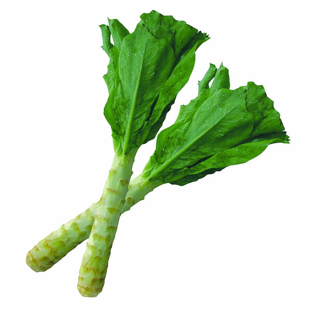 30 Asparagus Lettuce Seeds Lettuce Organic Vegetables eBay