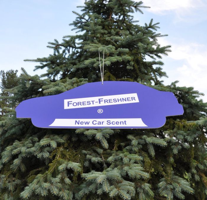 391E472C-C507-4F74-8C32-46E1229CB959_zps