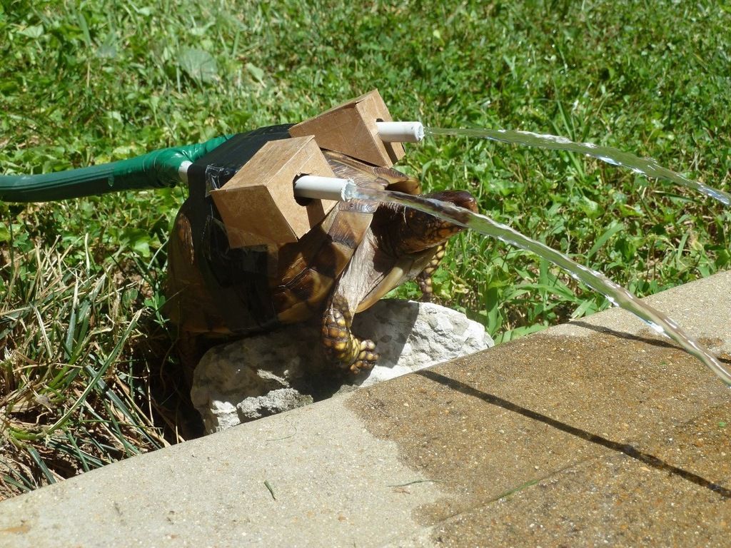 43FCD28A-8073-4CAB-86A0-13052A50ADD2_zps