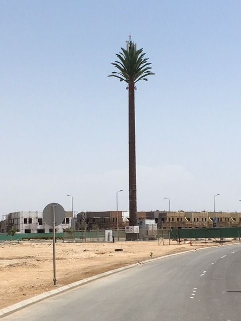 75D3E506-73F6-486A-978D-7D68F6CE67E2_zps