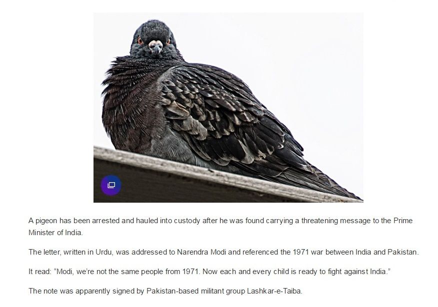 76FA0C26-9F19-49F9-8770-DCB001D07E38_zps