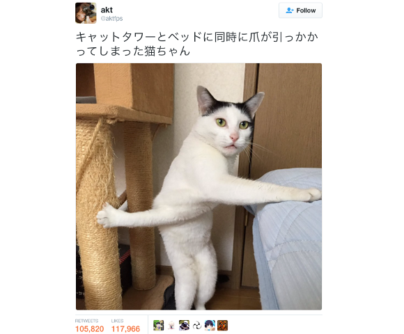 A856E3FE-99BF-4F3A-BDF4-6A9B84EBD87F_zps