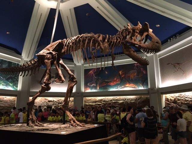 C1F88131-503B-4110-A840-A8C4171CF48C_zps