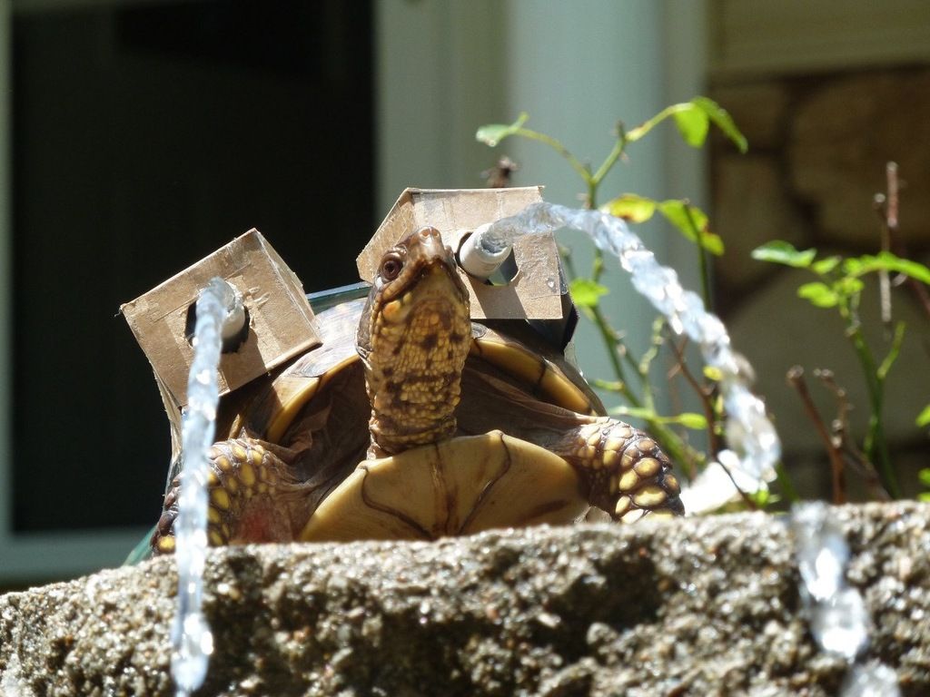 C54471E4-8F4E-49A3-AA49-3F15AAA498A1_zps