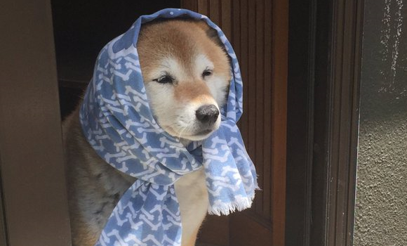 D5A751FD-0B57-4C64-8BCE-19E8CCA09E60_zps