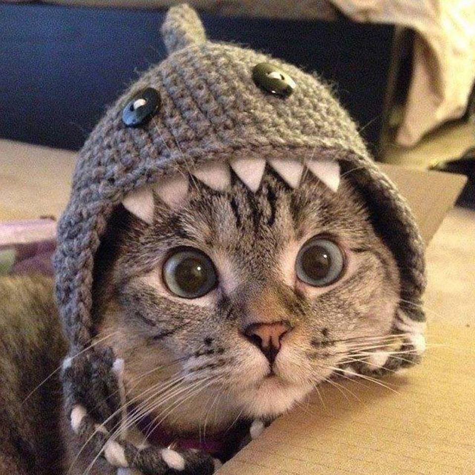 DA21C307-370E-483C-BD29-25C5484A2E80_zps