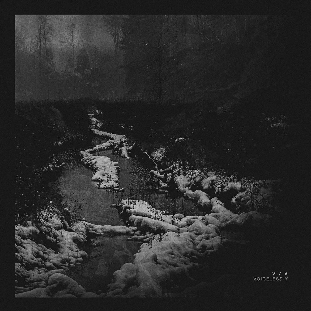 DFC117F4-36C2-4915-81D4-AB129F51D25A_zps