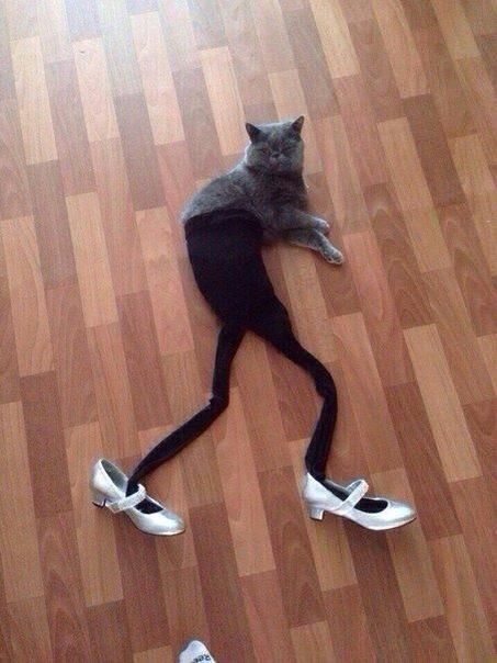 E3A777D4-FFE7-4062-ABF8-04CB4541DCA1_zps