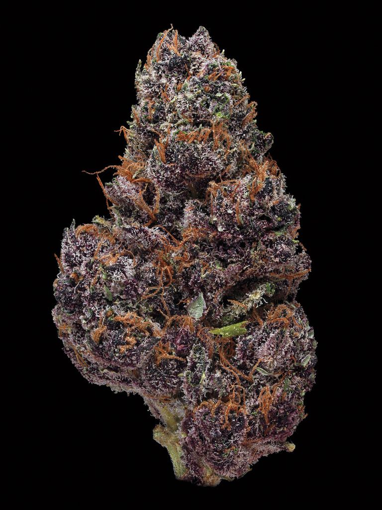 F854CA19-D260-498F-8151-9D2AE222623E_zps