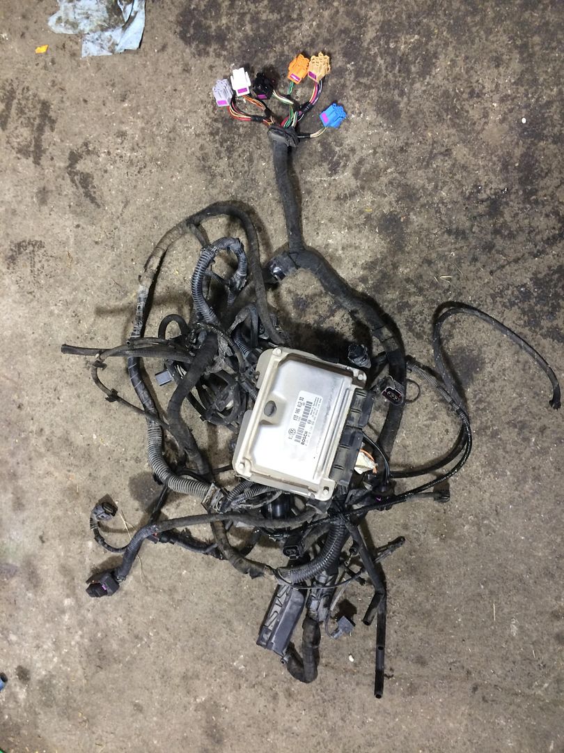 VWVortex.com - Tdi ECU and Wiring harness from 2000 Mk4 Jetta