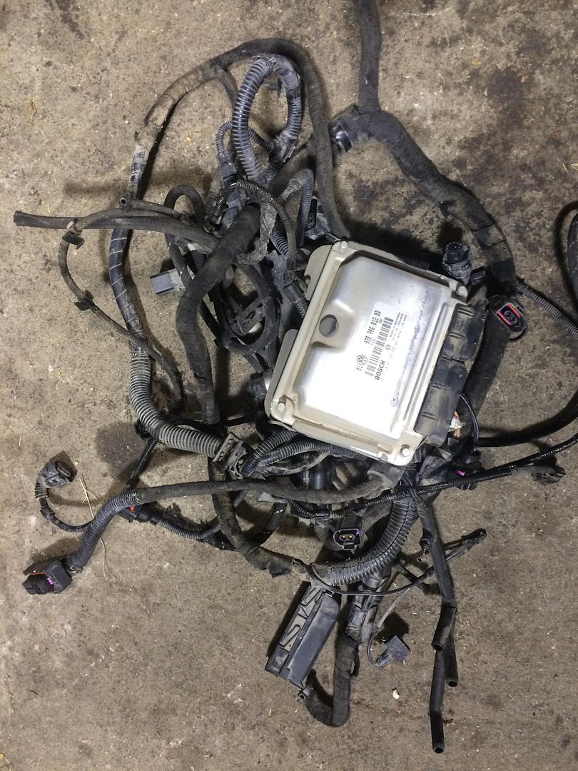 VWVortex.com - Tdi ECU and Wiring harness from 2000 Mk4 Jetta