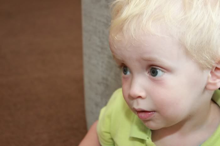 IMAGE: http://i1055.photobucket.com/albums/s512/griffinphotography2012/IMG_5781a.jpg