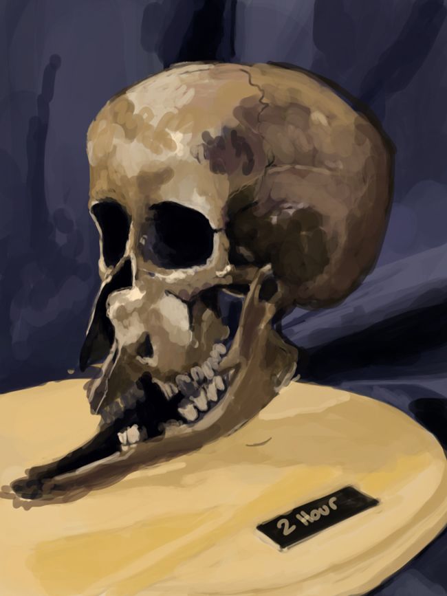 [Image: Skull-study-1_zps65cca8cd.jpg]