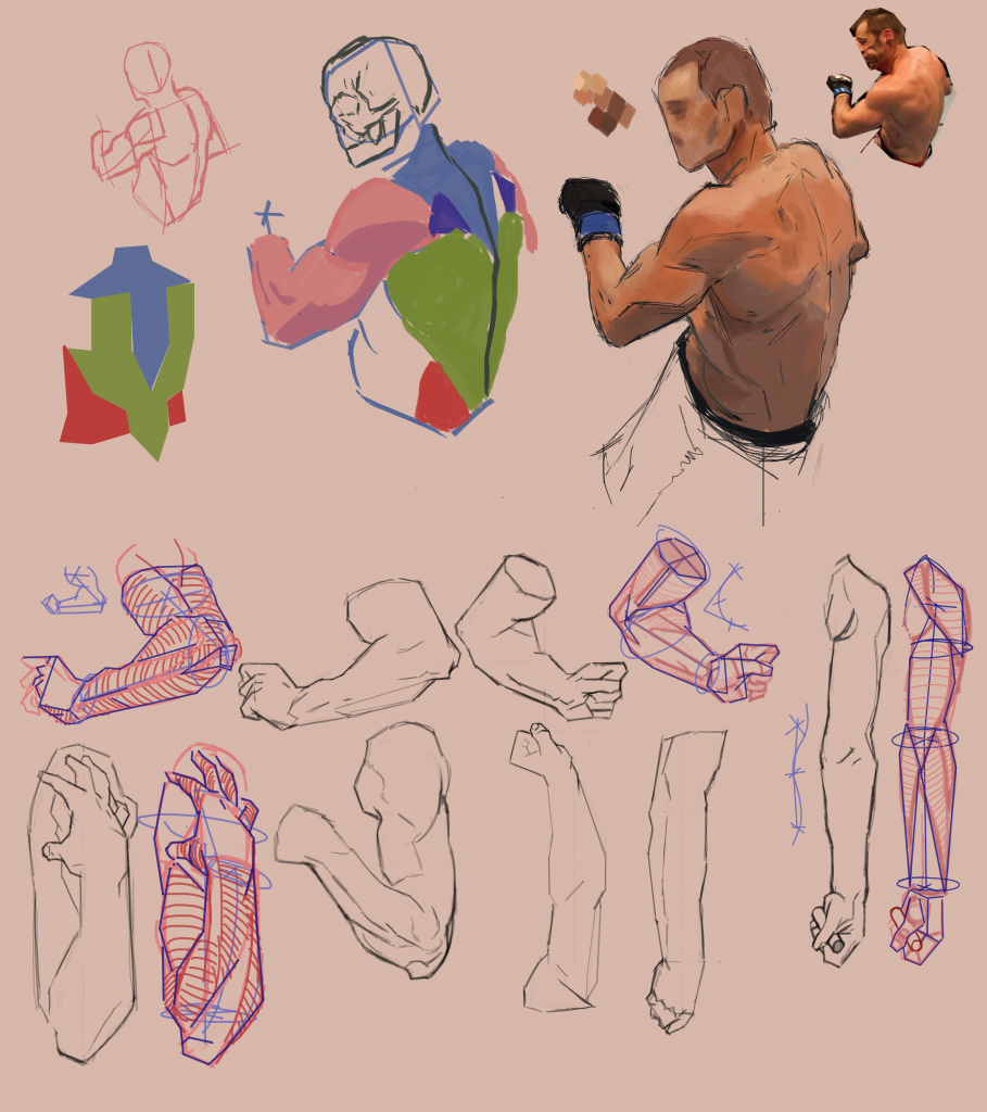 [Image: armstudy_zps92c0ab0e.png]