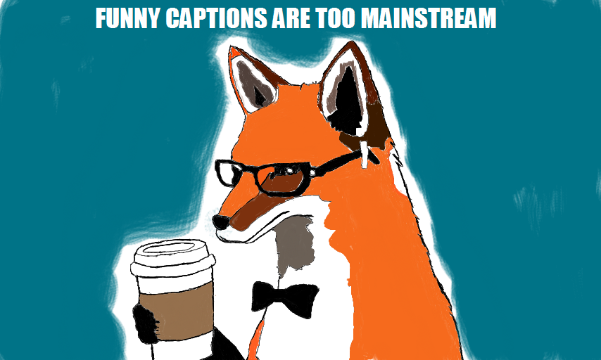 hipsterfox_zpsac12614c.png