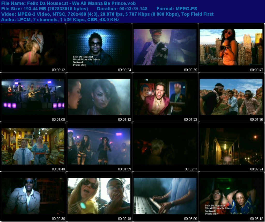 FelixDaHousecat-WeAllWannaBePrincevob_tn.jpg