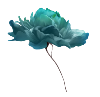  photo 0_7f86d_8e1196df_L.png