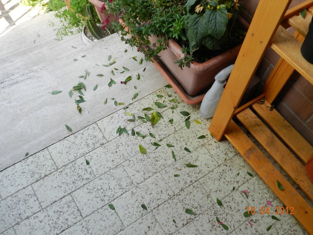 DSCN1609.jpg