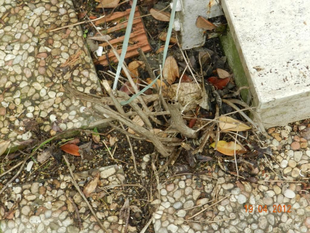 DSCN1757.jpg