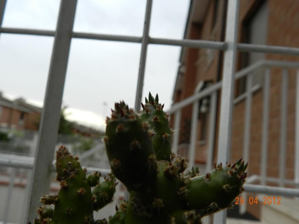 DSCN2151.jpg