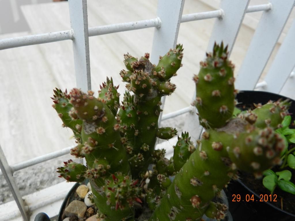 DSCN2152.jpg