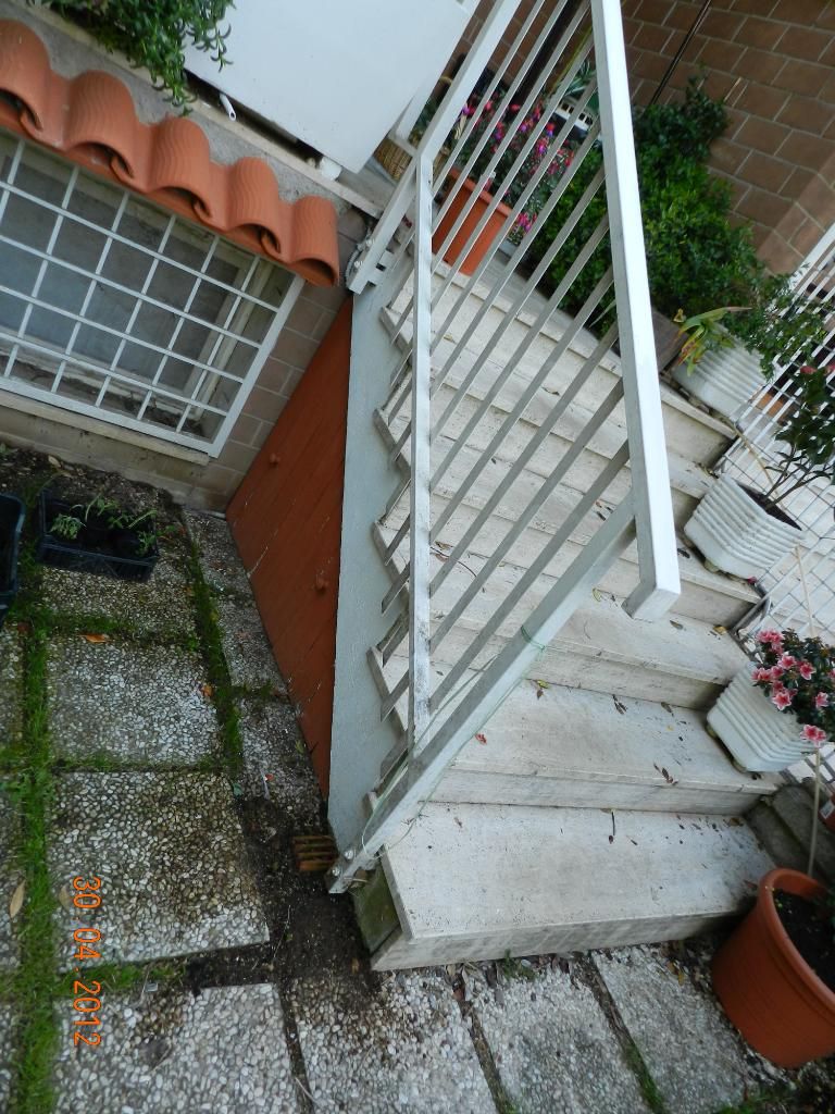 DSCN2195.jpg