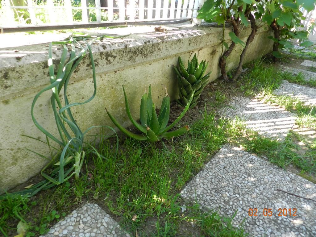 DSCN2477.jpg