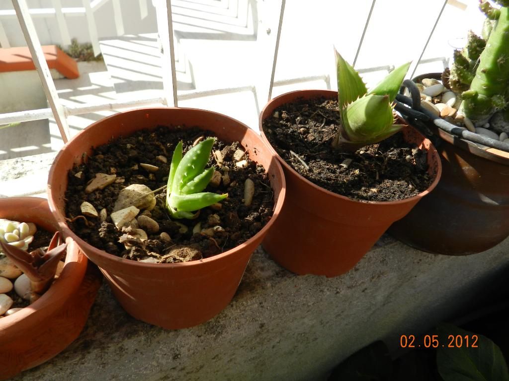 DSCN2507.jpg