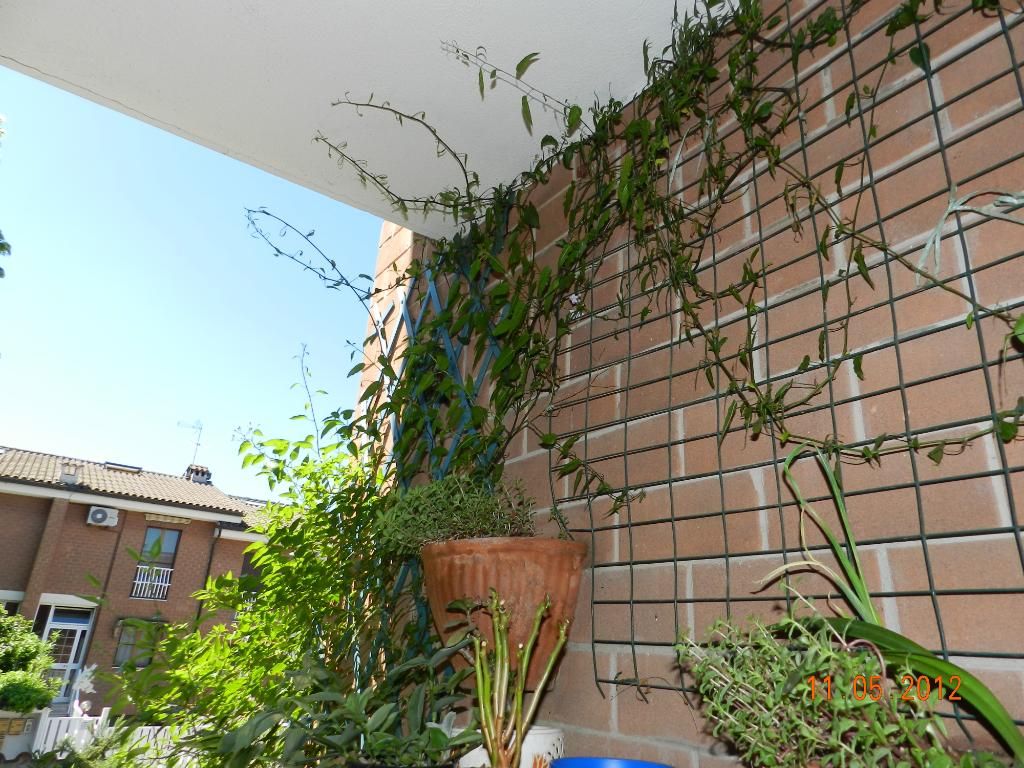 DSCN2606.jpg