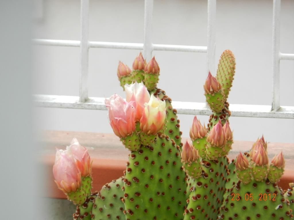 DSCN2837.jpg