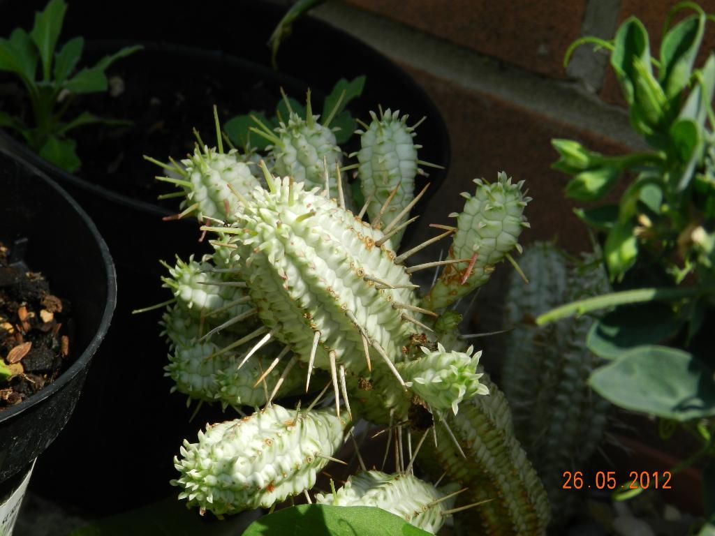 DSCN2868.jpg
