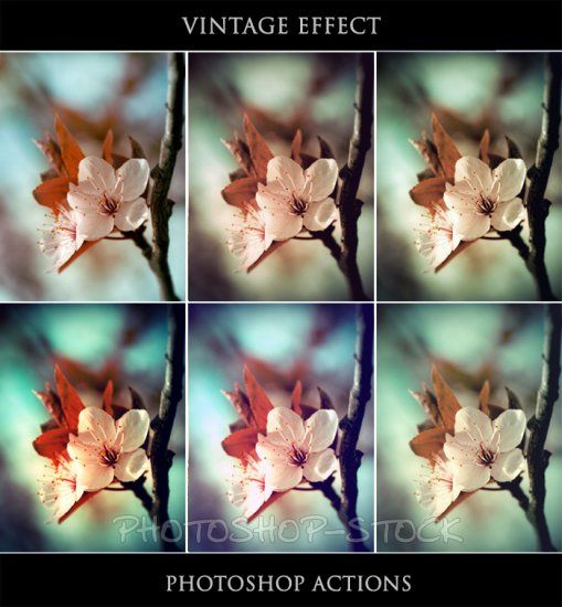 Vintage Effects photo 1295017751_vintage_effect___ps_actions___by_photoshop_stock_zps7fd7454e.jpg