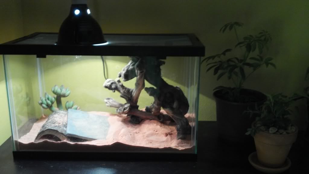 2012-03-26_11-07-40_821.jpg