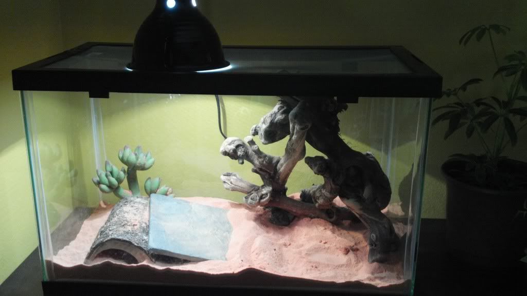 2012-03-26_11-07-48_75.jpg