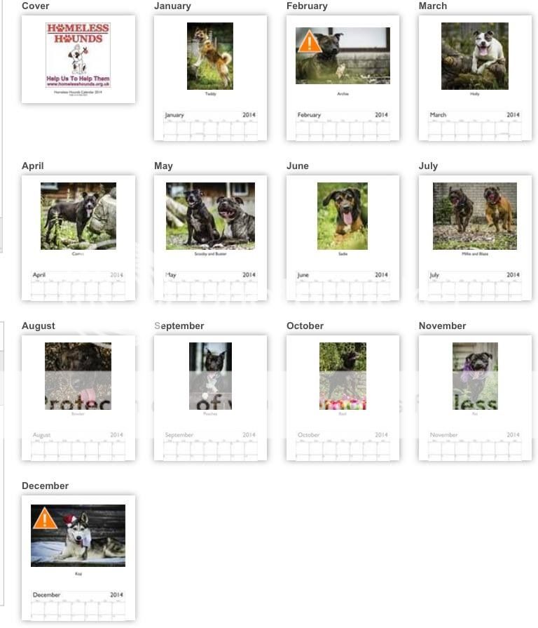 Homeless Hounds Calenders Image71