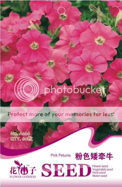 1 Pack 60 Seeds Trumpet Shaped Pink Petunia Flower Seed Hot A166